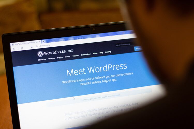 How Much Does a WordPress Website Cost in India?